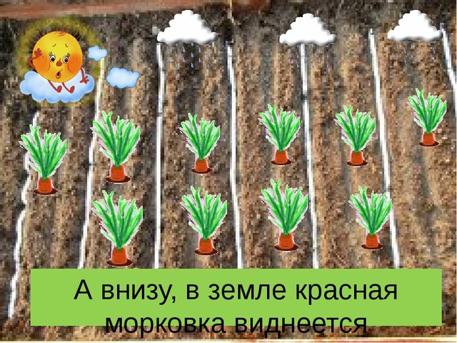 Презентация сказки "Как заяц вырастил морковку".