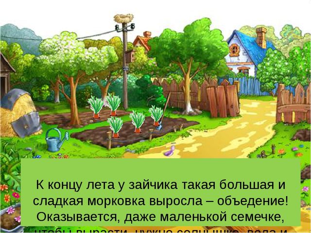 Презентация сказки "Как заяц вырастил морковку".