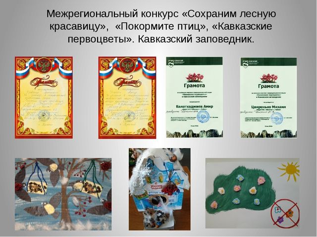 Визитная карточка на конкурс "Педагог 2016 года"