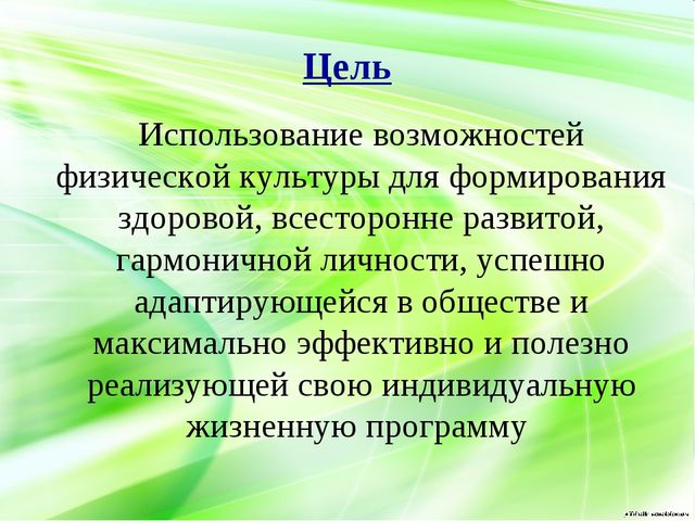 Модель образовательной деятельности по физической культуре в рамках ФГОС.