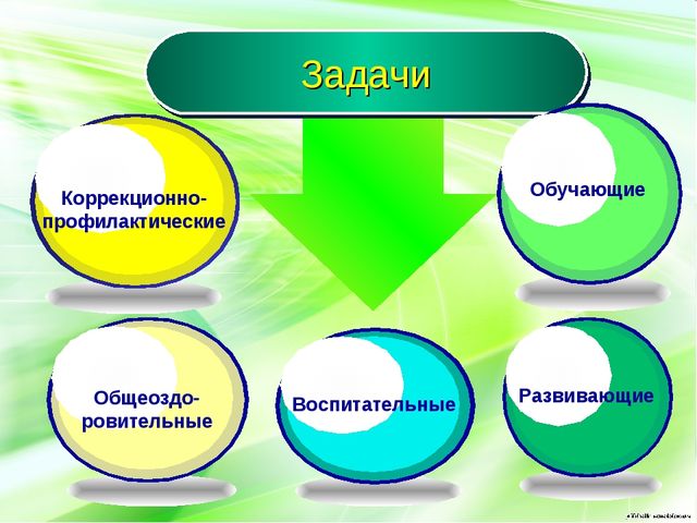 Модель образовательной деятельности по физической культуре в рамках ФГОС.