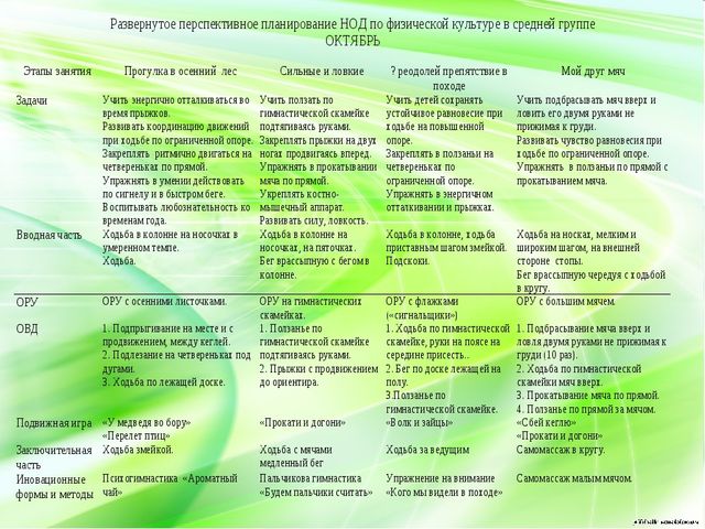 Модель образовательной деятельности по физической культуре в рамках ФГОС.