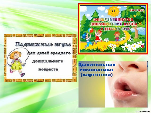 Модель образовательной деятельности по физической культуре в рамках ФГОС.