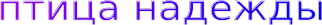 Shape1