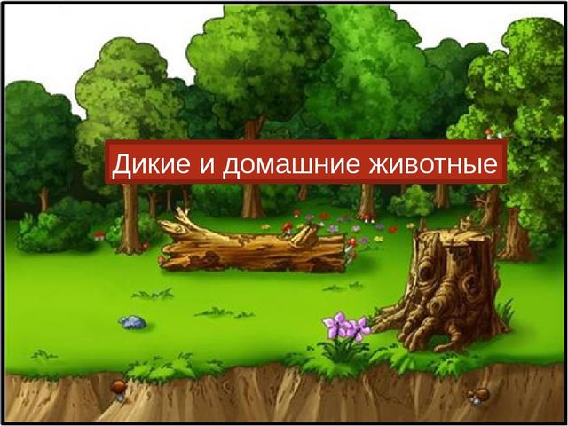 Интерактивная игра "Дикие и домашние животные" (младший дошкольный возраст)