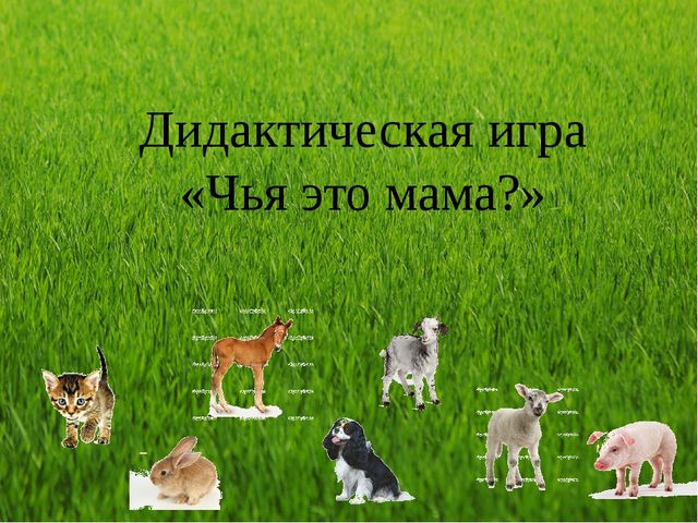 Интерактивная игра "Чья это мама?" младший дошкольный возраст