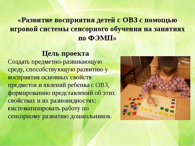 Педагогический проект "Развитие восприятия детей с ОВЗ с помощью игровой системы сенсорного обучения на занятиях по ФЭМП» (средний дошкольный возраст)