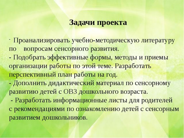 Педагогический проект "Развитие восприятия детей с ОВЗ с помощью игровой системы сенсорного обучения на занятиях по ФЭМП» (средний дошкольный возраст)