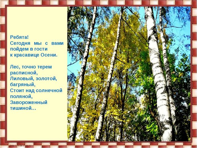 Презентация "Осень золотая" средняя группа