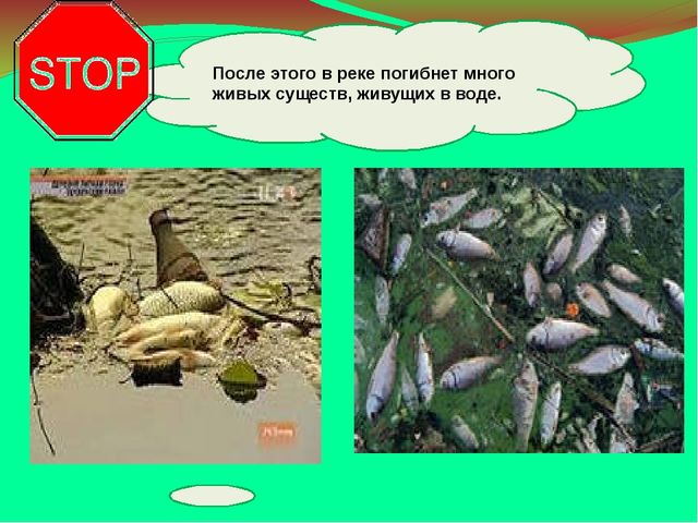 Презентация на тему "Откуда берется и куда девается мусор"