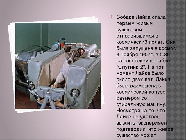 Презентация для старших дошкольников "Животные в космосе"