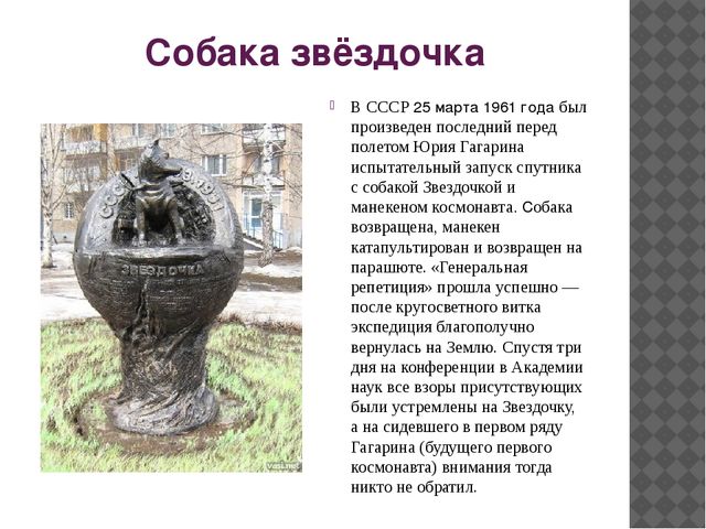 Презентация для старших дошкольников "Животные в космосе"