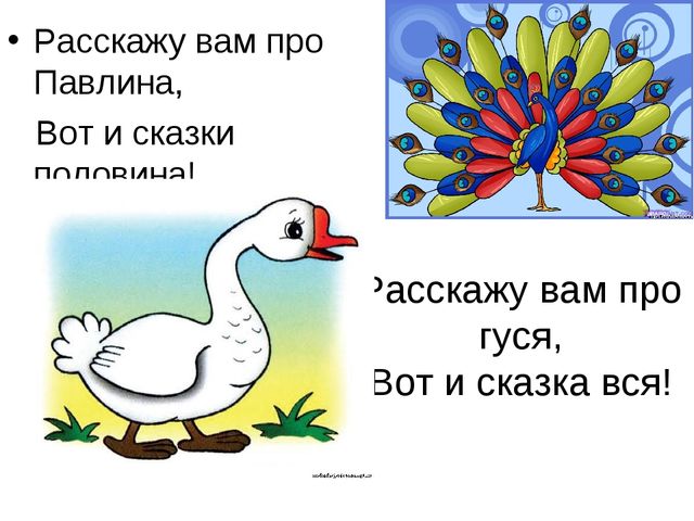 Вот расскажи. Докучная сказка про гуся. Сказка про павлина для детей. Сказка про павлина короткая. Загадка про павлина для детей.