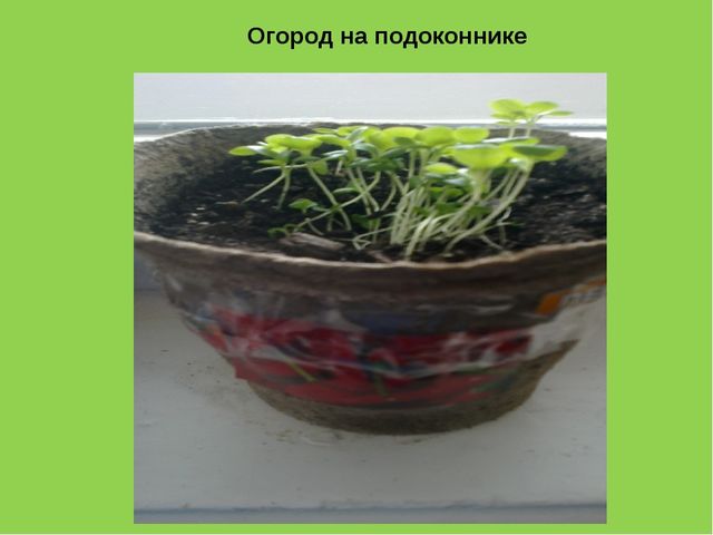 Презентация на тему «Технологии развивающего обучения в современном ДОУ»