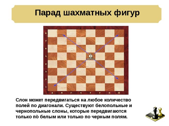 Презентация: Педагогическая мастерская «Учимся играть в шахматы – игровые ситуации для дошкольников»