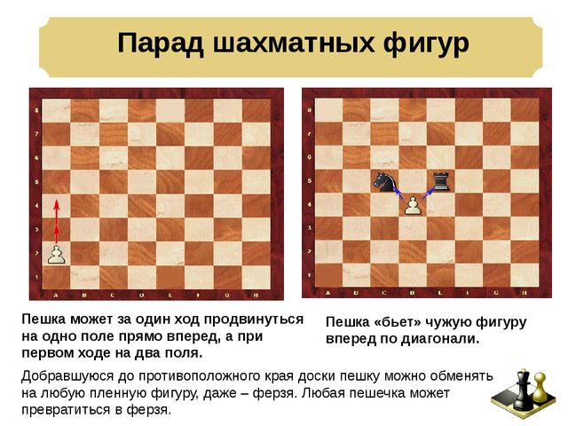 Презентация: Педагогическая мастерская «Учимся играть в шахматы – игровые ситуации для дошкольников»