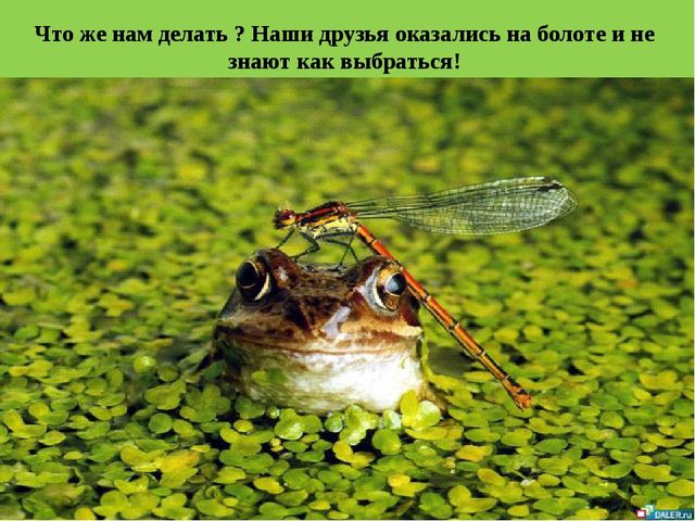 Презентация по Автоматизации звука Б в середине слов