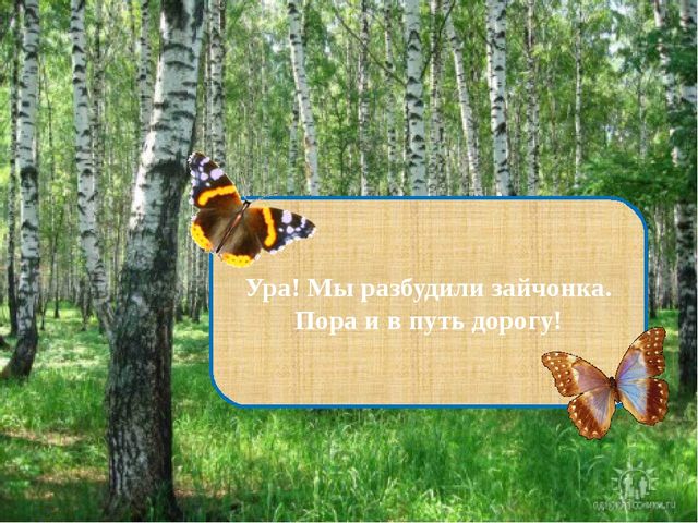 Презентация на тему "Формирование интонационной выразительности речи".
