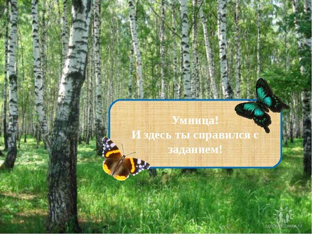Презентация на тему "Формирование интонационной выразительности речи".