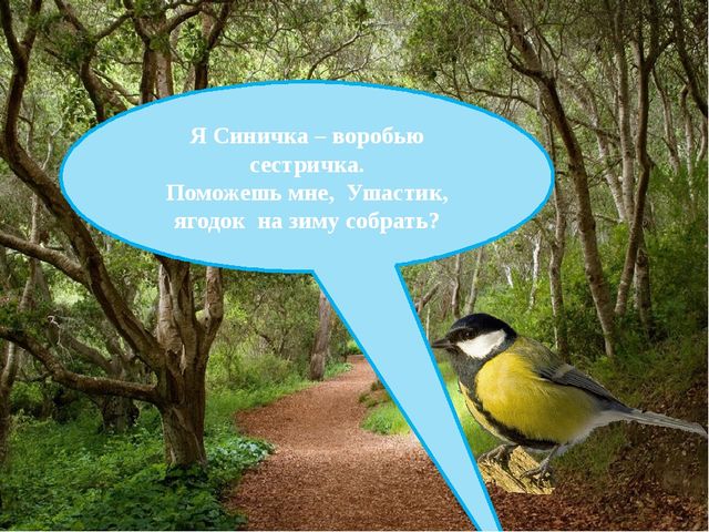 Презентация на тему "Формирование интонационной выразительности речи".