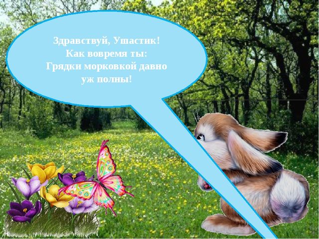 Презентация на тему "Формирование интонационной выразительности речи".