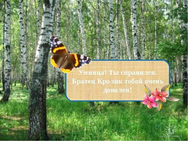 Презентация на тему "Формирование интонационной выразительности речи".