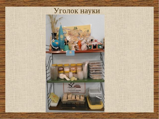Презентация «Организация развивающей среды как одно из условий расширения речевой активности дошкольников»