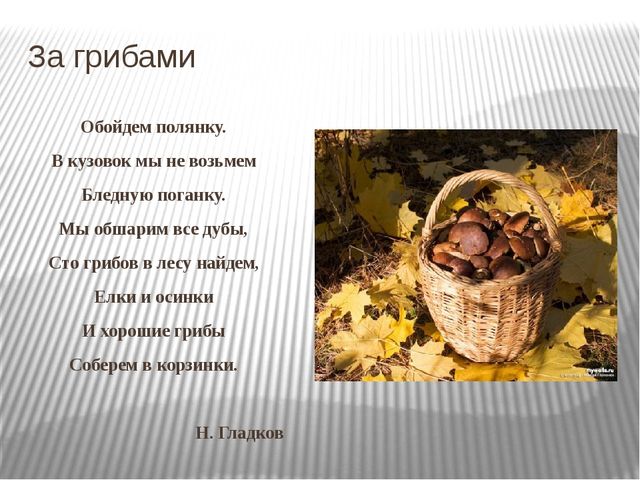 Презентация "Экскурсия в лес"