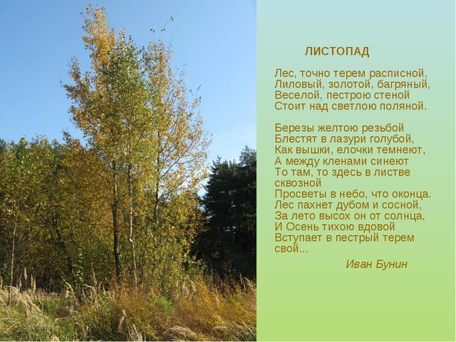 Презентация "Стихи про осень"