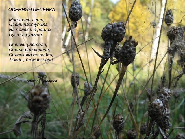 Презентация "Стихи про осень"