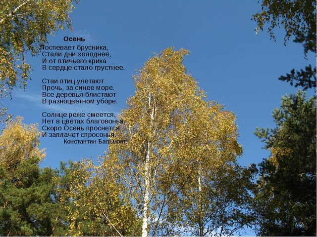 Презентация "Стихи про осень"