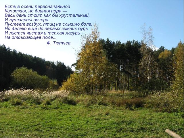 Презентация "Стихи про осень"
