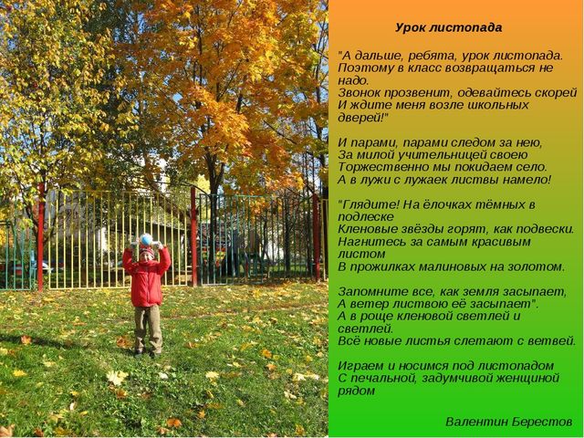 Презентация "Стихи про осень"
