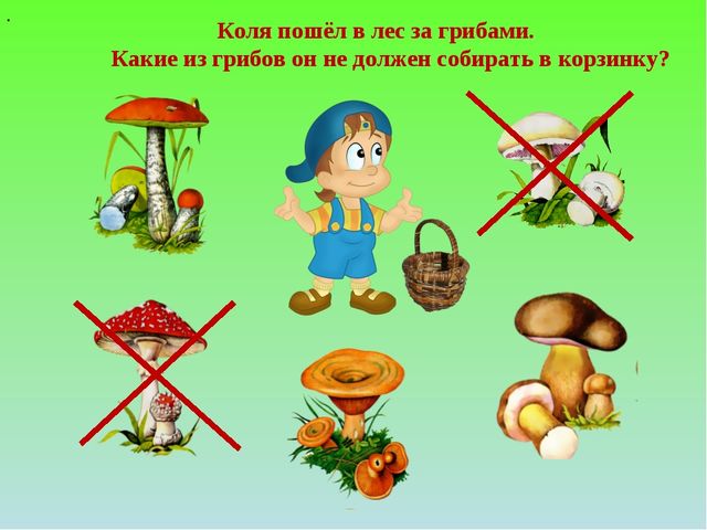 Презентация "Роль сказки в экологическом воспитании"