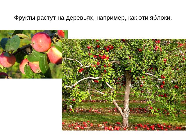 Презентация "Фрукты и овощи"