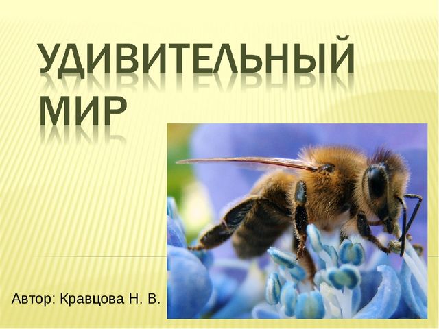 Проект по экологическому воспитанию дошкольников