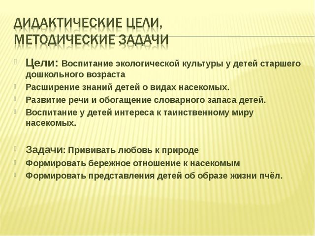 Проект по экологическому воспитанию дошкольников