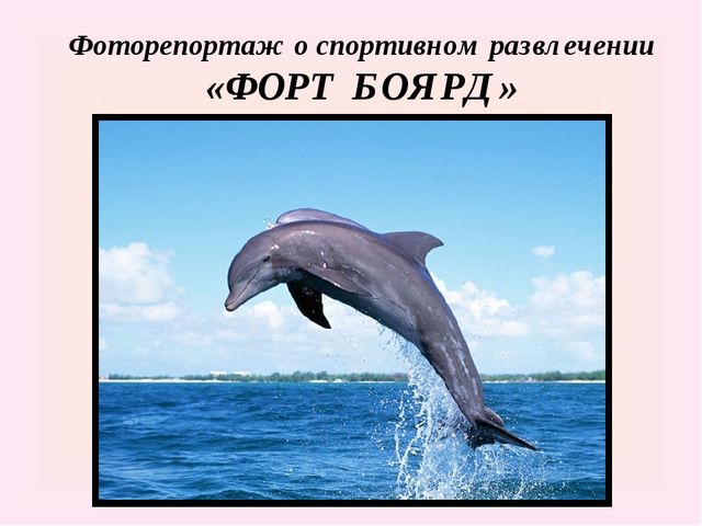 Презентация спортивного развлечения "Форт Боярд"