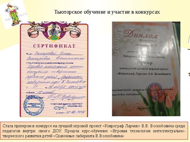Презентация педагогического проекта "Развивающие игры Вячеслава Воскобовича"