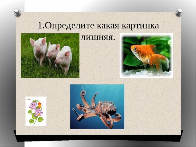 Презентация "Какая картинка лишняя"