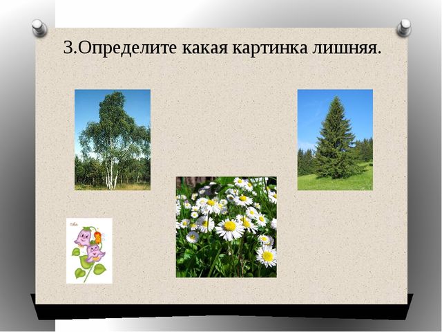 Презентация "Какая картинка лишняя"