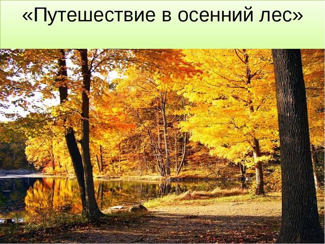 Презентация для детей 5-6 лет "Путешествие в осенний лес"