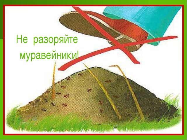 Презентация для детей 5-6 лет "Путешествие в осенний лес"