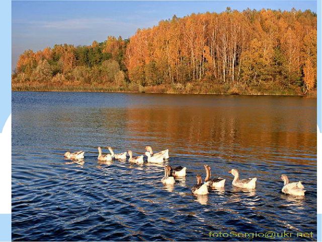 Презентация к занятию "Волшебная водица"