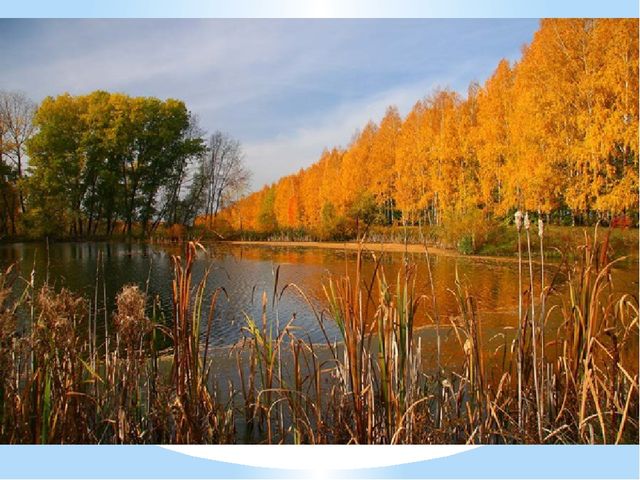 Презентация к занятию "Волшебная водица"
