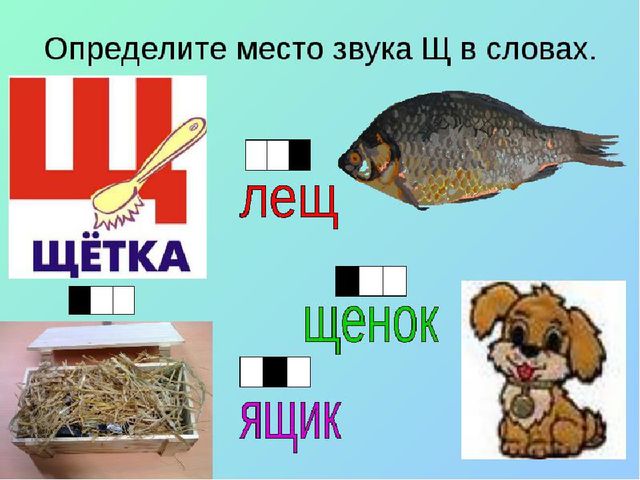 Презентация - кружок по подготовке к школе "Буква "Щ"