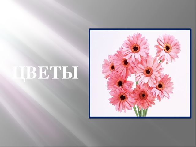 Презентация - кружок по подготовке к школе "Знакомство с буквой "Ц"