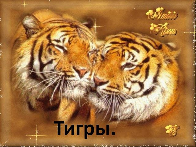 Презентация по формированию целостной картины мира на тему "Тигры" для детей дошкольного возраста