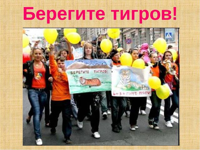 Презентация по формированию целостной картины мира на тему "Тигры" для детей дошкольного возраста