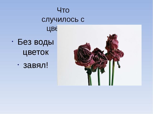 Презентация "Роль воды в жизни человека"